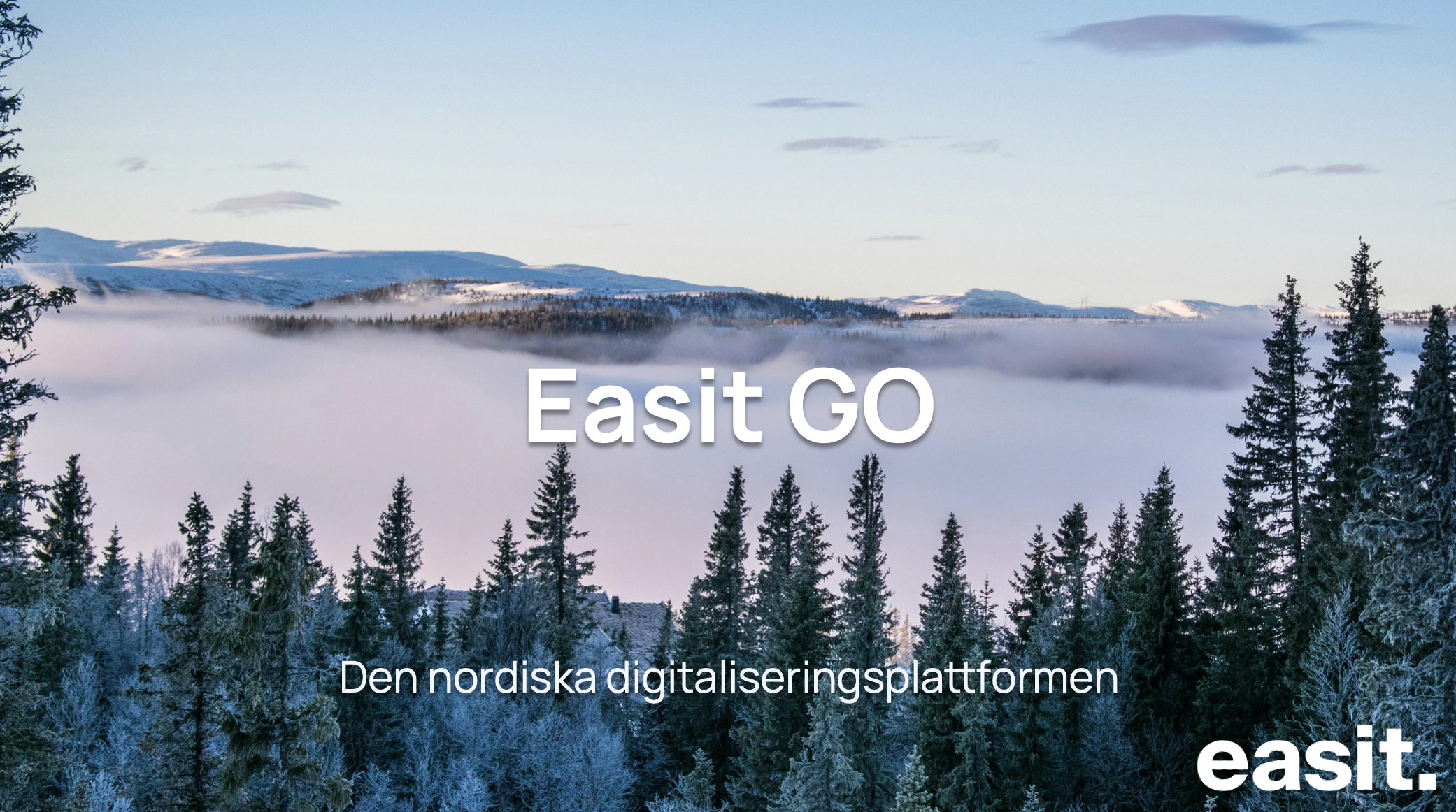 Easit GO – nordisk digitaliseringsplattform för processer, service management och automation